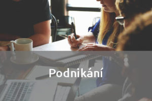 Podnikání